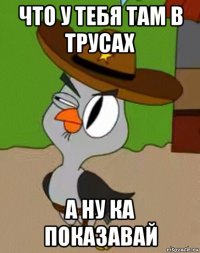 что у тебя там в трусах а ну ка показавай