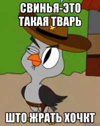 свинья-это такая тварь што жрать хочкт