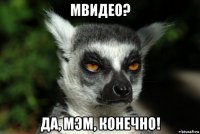 мвидео? да, мэм, конечно!