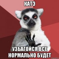 катэ узбагойся все нормально будет