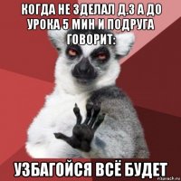 когда не зделал д.з а до урока 5 мин и подруга говорит: узбагойся всё будет