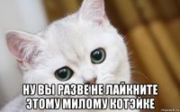  ну вы разве не лайкните этому милому котэйке