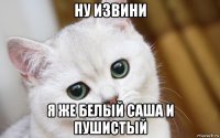 ну извини я же белый саша и пушистый