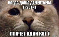 когда даша дементьева грустит плачет один кот (