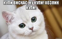 купи вискас, ну купи! хозяин купи! 