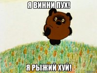 я винни пух! я рыжий хуй!