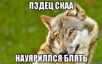 пздец скаа науяриллся блять