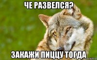 че развелся? закажи пиццу тогда