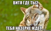 витя где ты? тебя назерке ждёт....