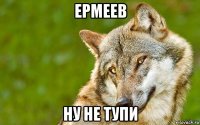 ермеев ну не тупи