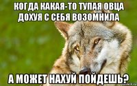 когда какая-то тупая овца дохуя с себя возомнила а может нахуй пойдешь?