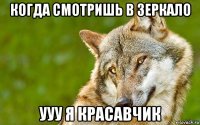 когда смотришь в зеркало ууу я красавчик