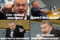 я тут - главный животновод! я твои 3-беты шатал! жывотное ты неразумное! вот что тройка животворящая делает!