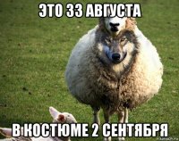 это 33 августа в костюме 2 сентября