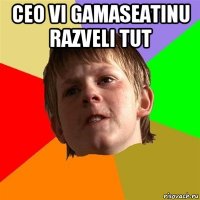 ceo vi gamaseatinu razveli tut 