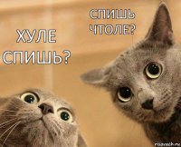 хуле спишь? спишь чтоле?