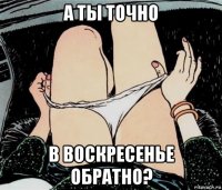 а ты точно в воскресенье обратно?