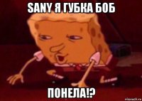 sany я губка боб понела!?