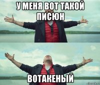 у меня вот такой писюн вотакеный