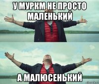 у муркм не просто маленький а малюсенький