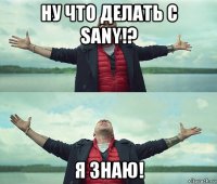 ну что делать с sany!? я знаю!