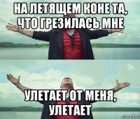 на летящем коне та, что грезилась мне улетает от меня, улетает