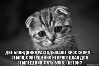  две блондинки разгадывают кроссворд: - земля, совершенно непригодная для земледелия. пять букв. - бетон?