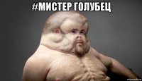 #мистер голубец 