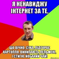 я ненавиджу інтернет за те, що вічно, сука, підгорає картопля, википають пельмені, і стигне йобаний чай!