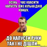 осінь ... час квасити капусту. вже кілька днів квашу, до кaпусти руки так і не дішли...