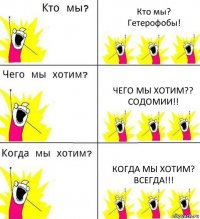 Кто мы?
Гетерофобы! Чего мы хотим??
Содомии!! Когда мы хотим?
Всегда!!!