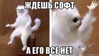 ждешь софт а его все нет