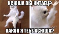 ксюша вы китаец? какой я тебе ксюша?