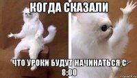 когда сказали что уроки будут начинаться с 8:00