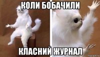 коли бобачили класний журнал