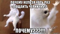 почему нельзя хоть раз пощаить черничку!? почему???!!!