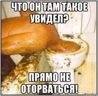 что он там такое увидел? прямо не оторваться!