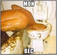 мой вес