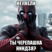 неужели ты черепашка ниндзя?