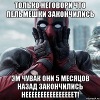 только неговори что пельмешки закончились эм чувак они 5 месяцов назад закончились неееееееееееееееет!