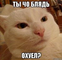 ты чо блядь охуел?