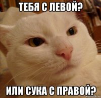 тебя с левой? или сука с правой?