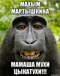 махым мартышкина мамаша мухи цыкатухи!!!