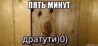 пять минут 