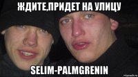 ждите,придет на улицу selim-palmgrenin