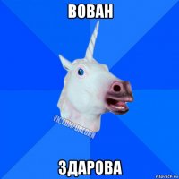 вован здарова