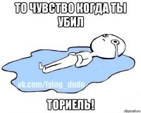 то чувство когда ты убил ториель!