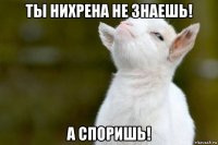 ты нихрена не знаешь! а споришь!