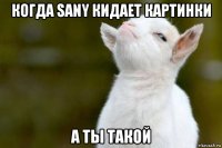 когда sany кидает картинки а ты такой