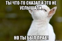 ты что-то сказал а это не услышали, но ты был прав!